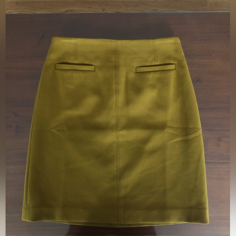 Ann Taylor Skirt